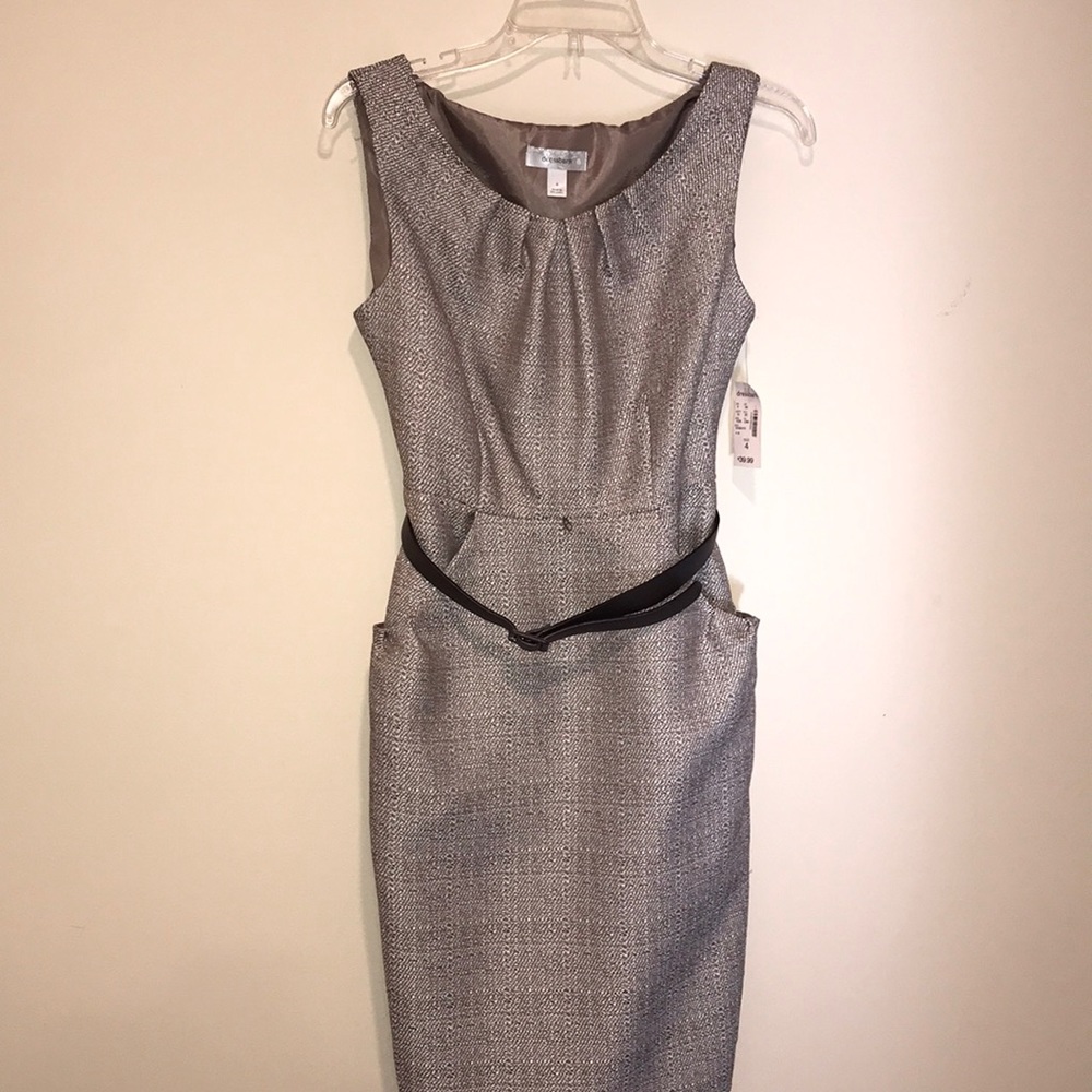 Business dress with Hip pockets